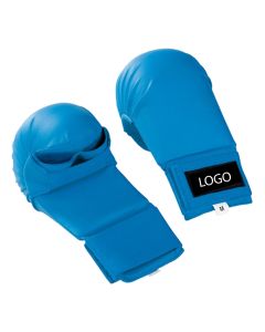 karate fighting mitts
